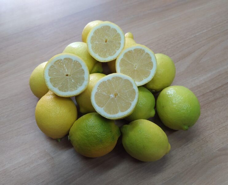 LIMONI SICILIA NON TRATTATI